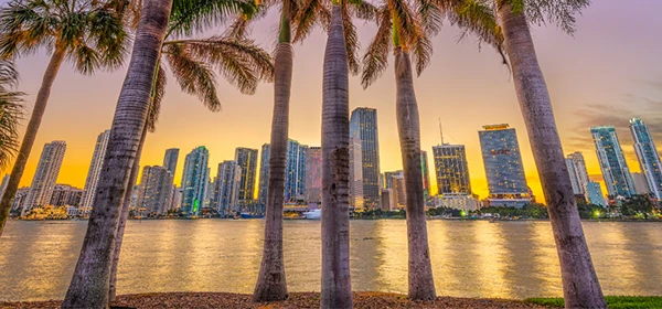 palm beach gardens probate law attorney 1